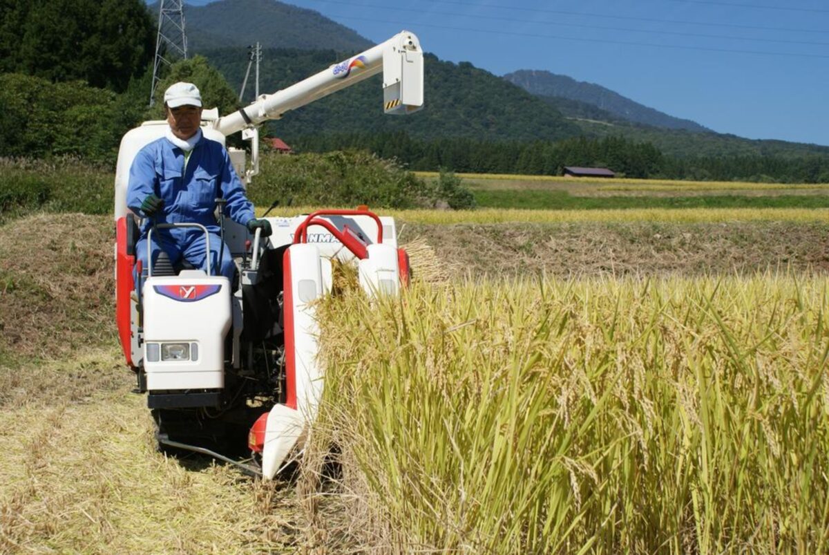 四季の宿　アルファイン　秀雲荘