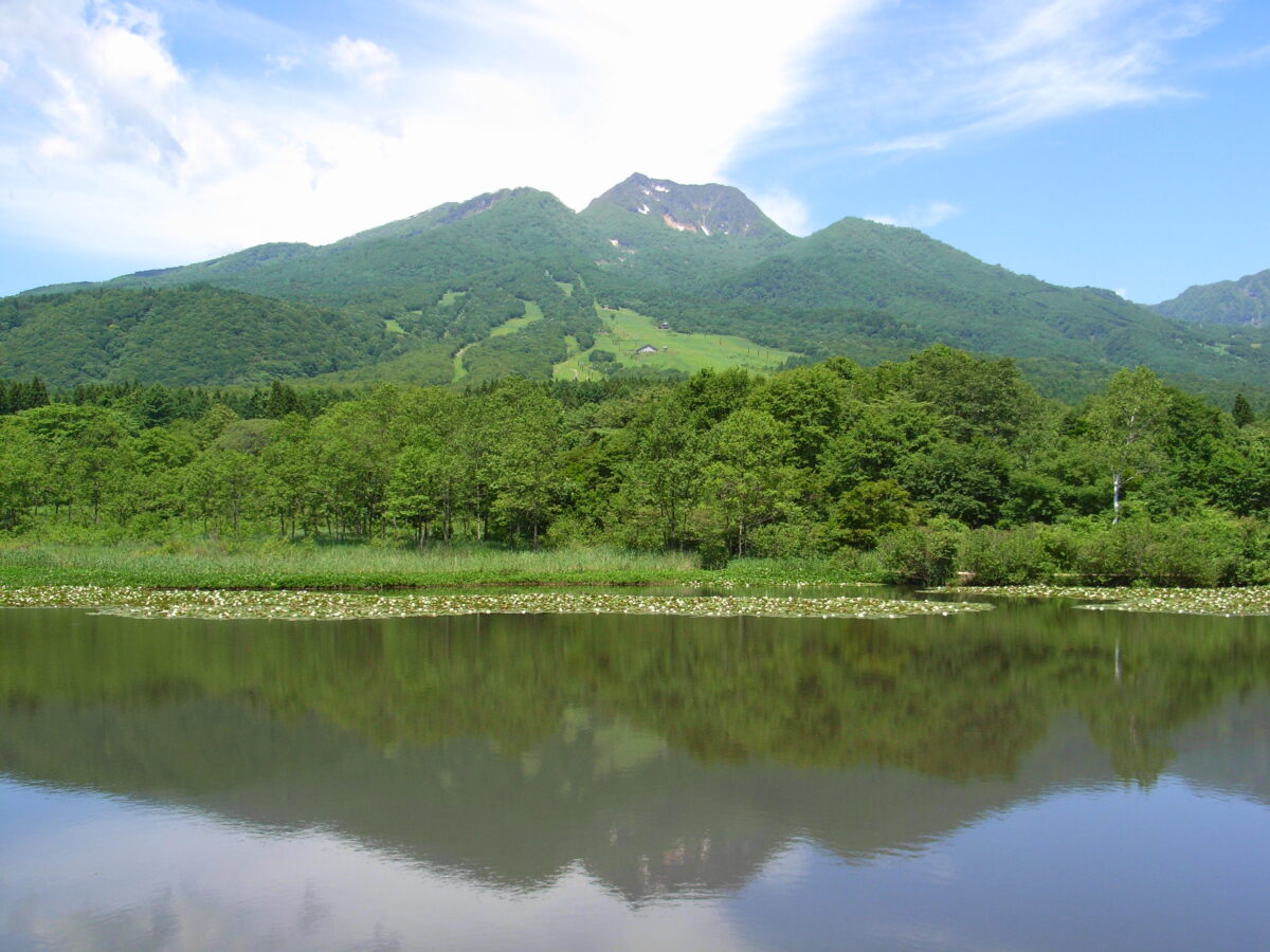 四季の宿　アルファイン　秀雲荘