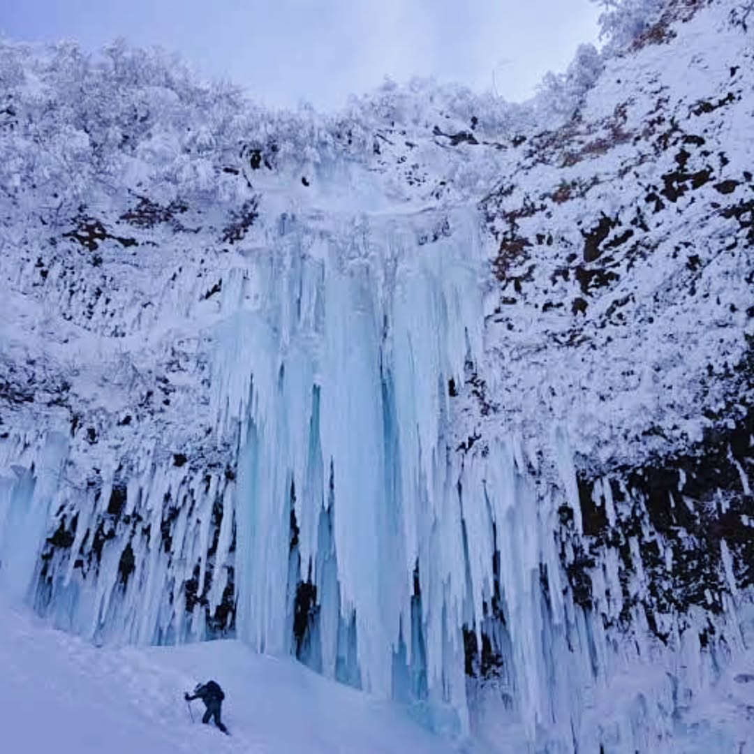 蔵王温泉 旅館林檎屋