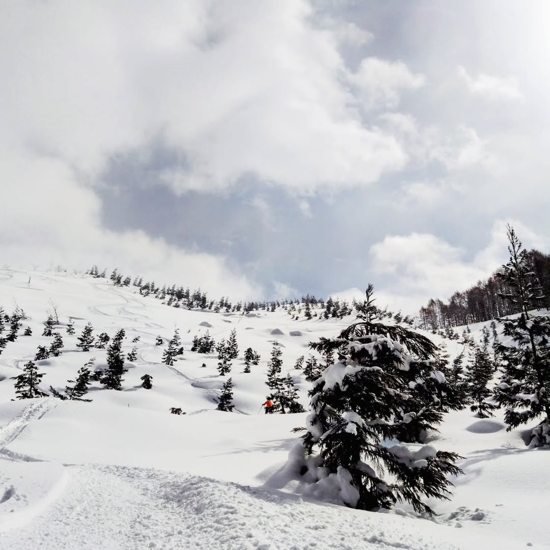 蔵王温泉 旅館林檎屋