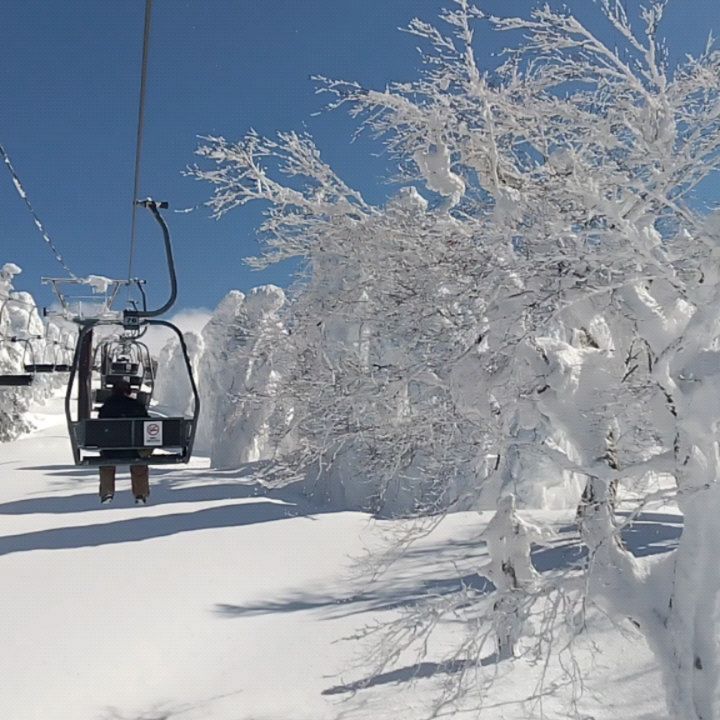 蔵王温泉 旅館林檎屋