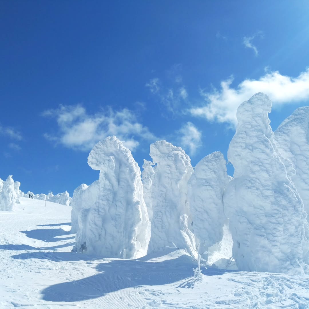 蔵王温泉 旅館林檎屋