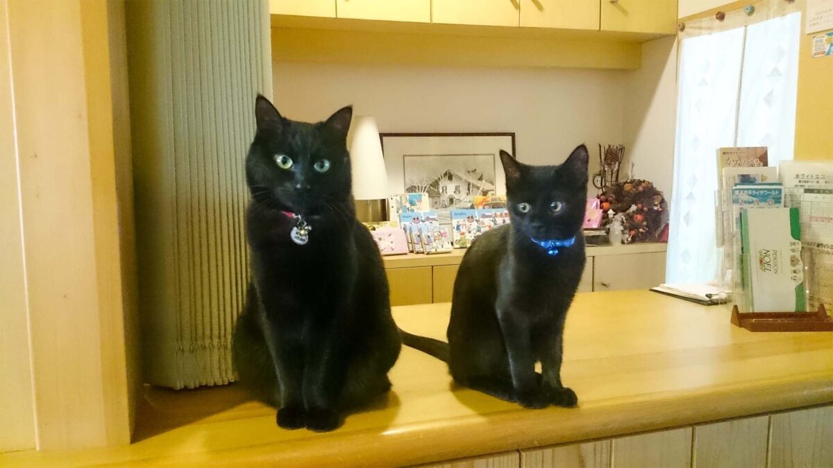 ペンションノエル