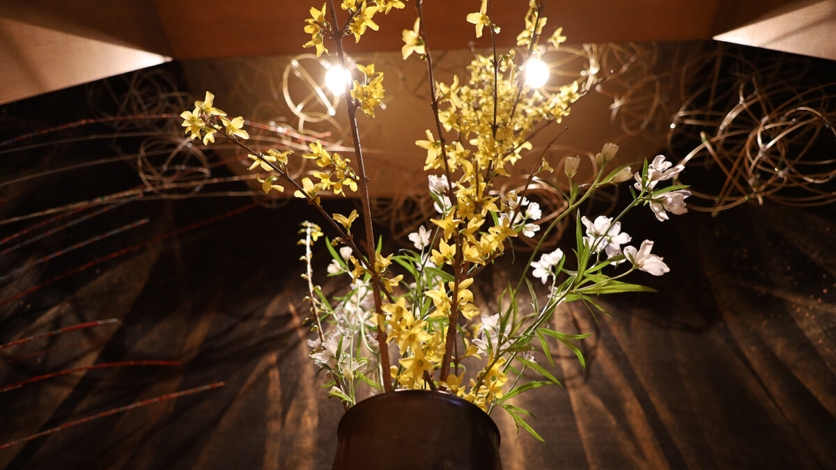 Onjuku Bamboo Cutter Story photo