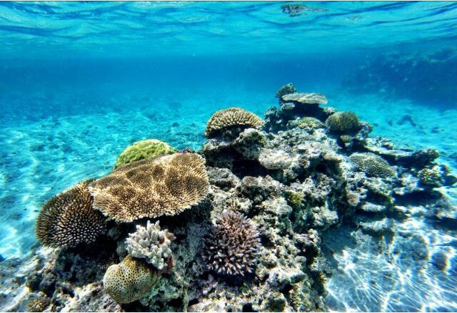 ファイブオーシャン