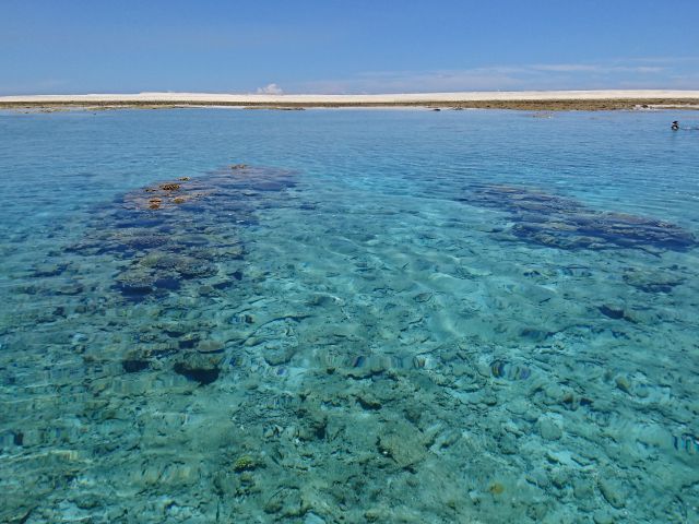ファイブオーシャン