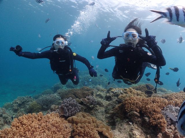 マナ・エンジョイダイビング沖縄