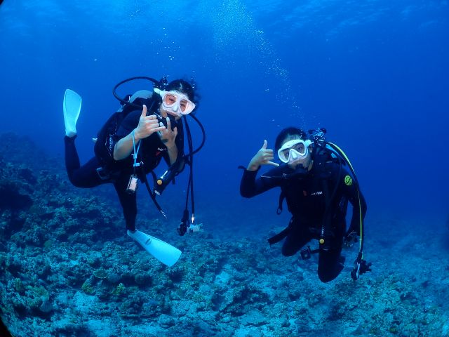マナ・エンジョイダイビング沖縄