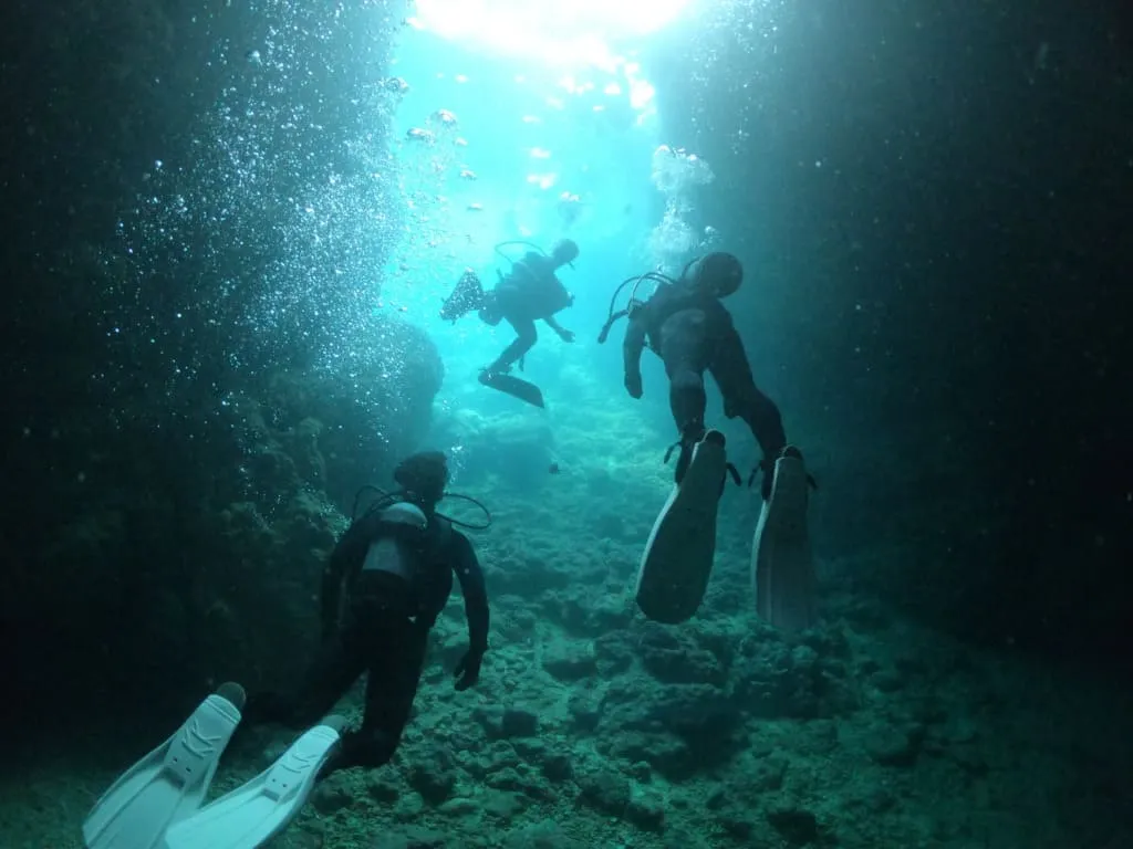 マナ・エンジョイダイビング沖縄