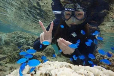 マナ・エンジョイダイビング沖縄