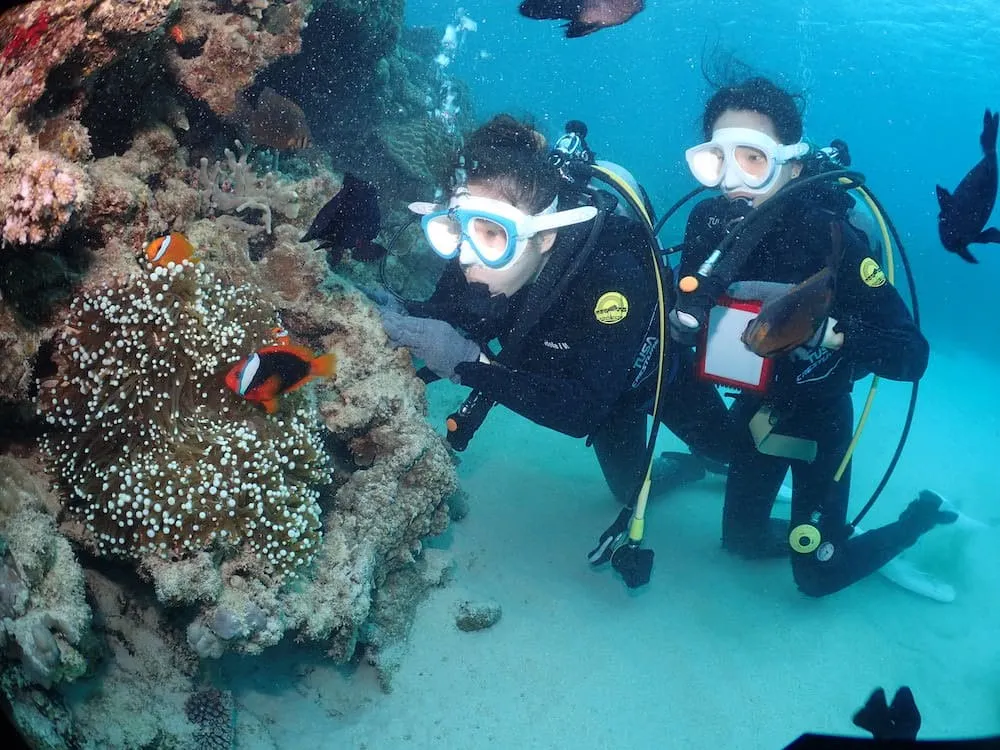 マナ・エンジョイダイビング沖縄