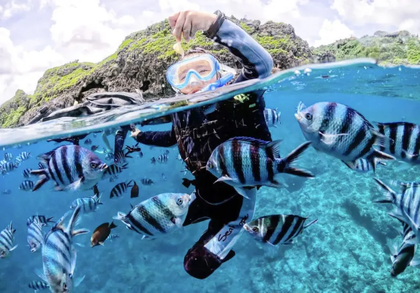 マナ・エンジョイダイビング沖縄