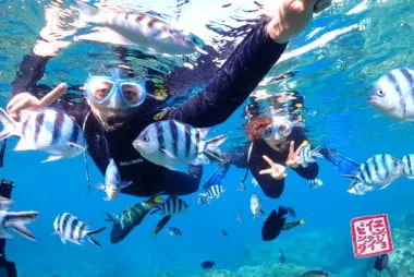 マナ・エンジョイダイビング沖縄