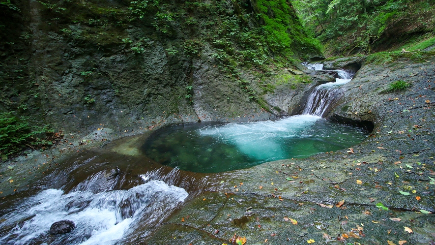 Futamata Onsen Katsuragiso｜福島二岐溫泉・自噴泉與山間料理旅館 photo