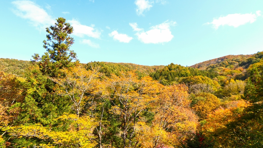 Futamata Onsen Katsuragiso｜福島二岐溫泉・自噴泉與山間料理旅館 photo