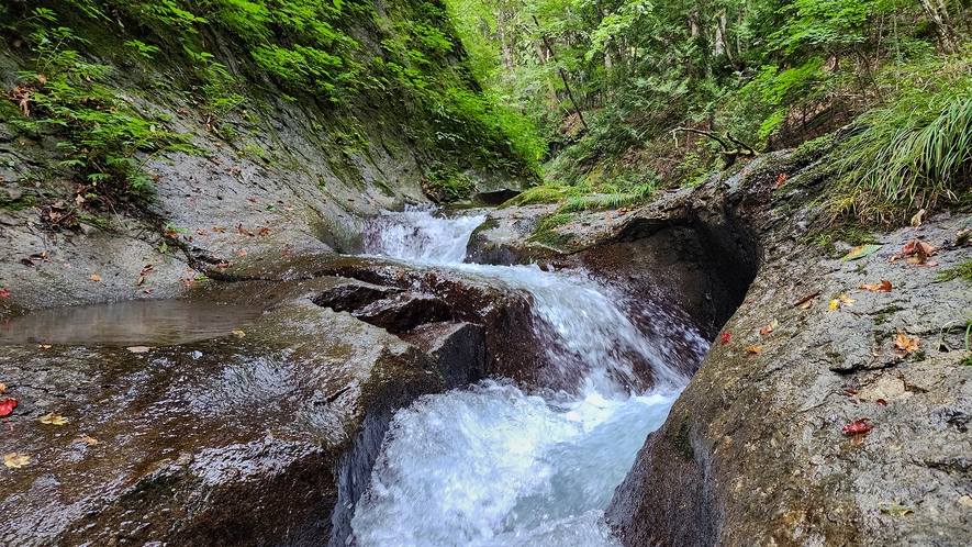 Futamata Onsen Katsuragiso｜福島二岐溫泉・自噴泉與山間料理旅館 photo