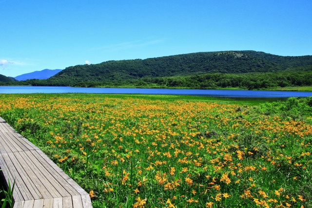 ペンションとも