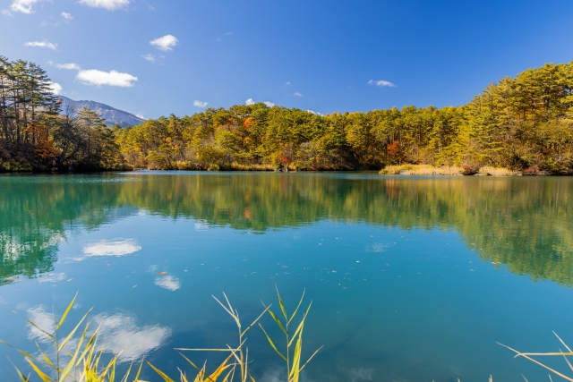 ペンションとも