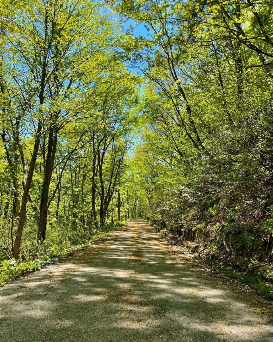 ペンションとも