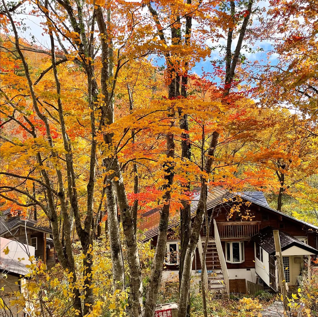 ペンションとも