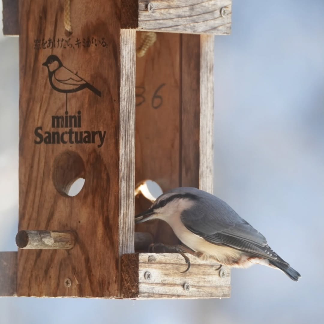 ペンションとも