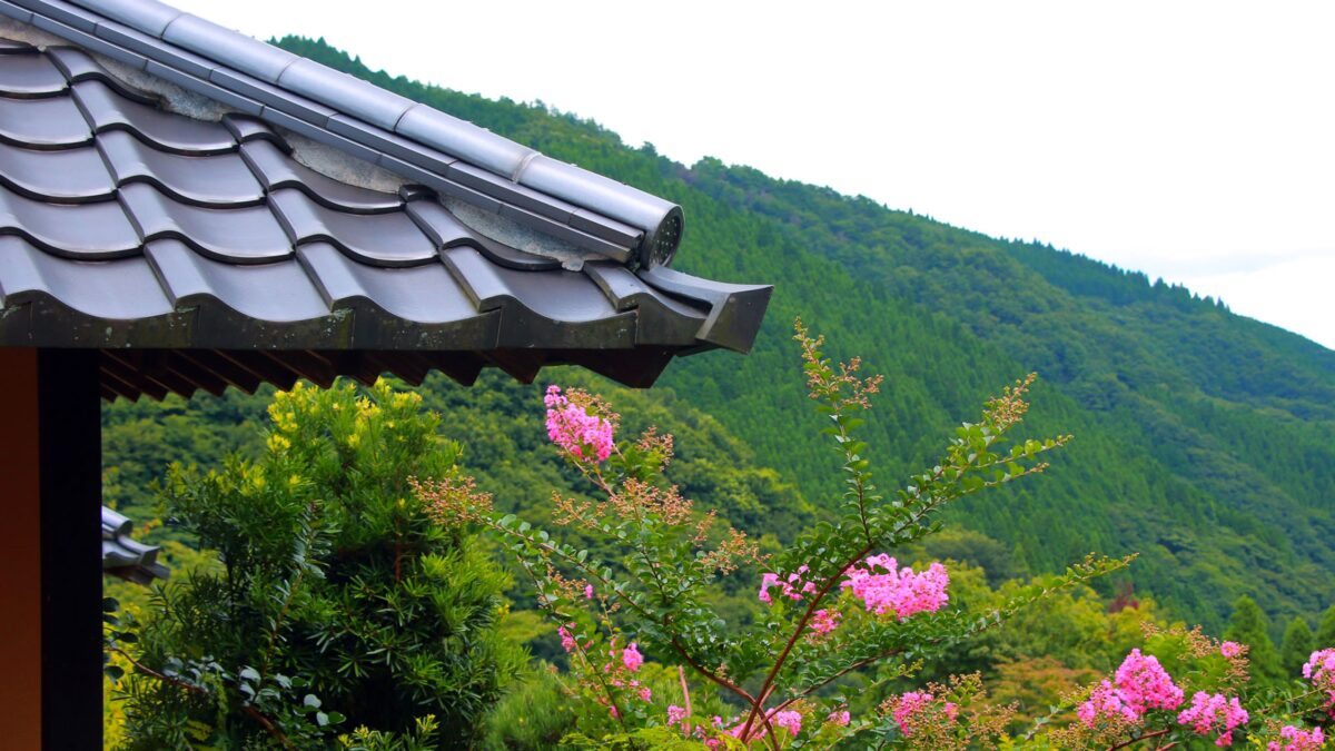 奥ゆのひら　花灯り