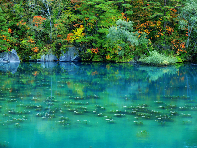 中ノ沢温泉　磐梯西村屋