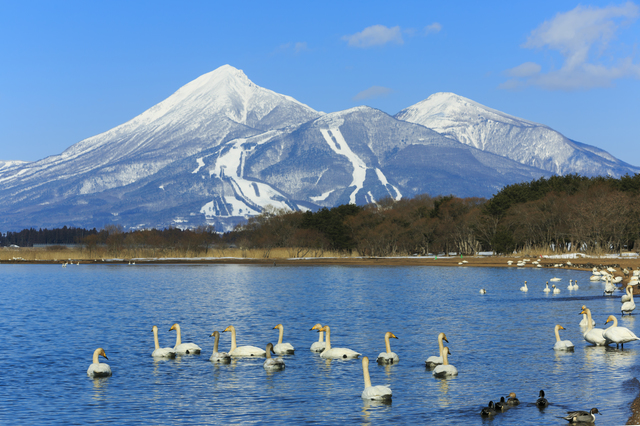 中ノ沢温泉　磐梯西村屋