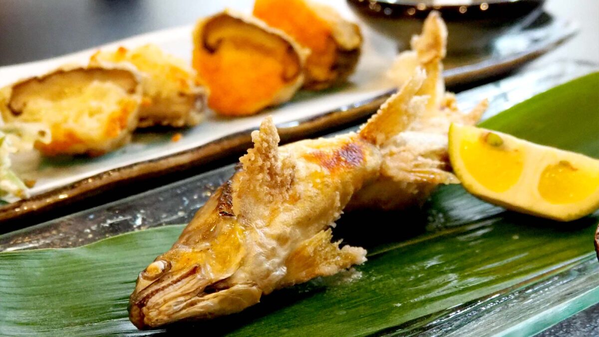 Tenryu Ryokan｜天瀨溫泉小旅館 / 私人溫泉與包租浴池 photo