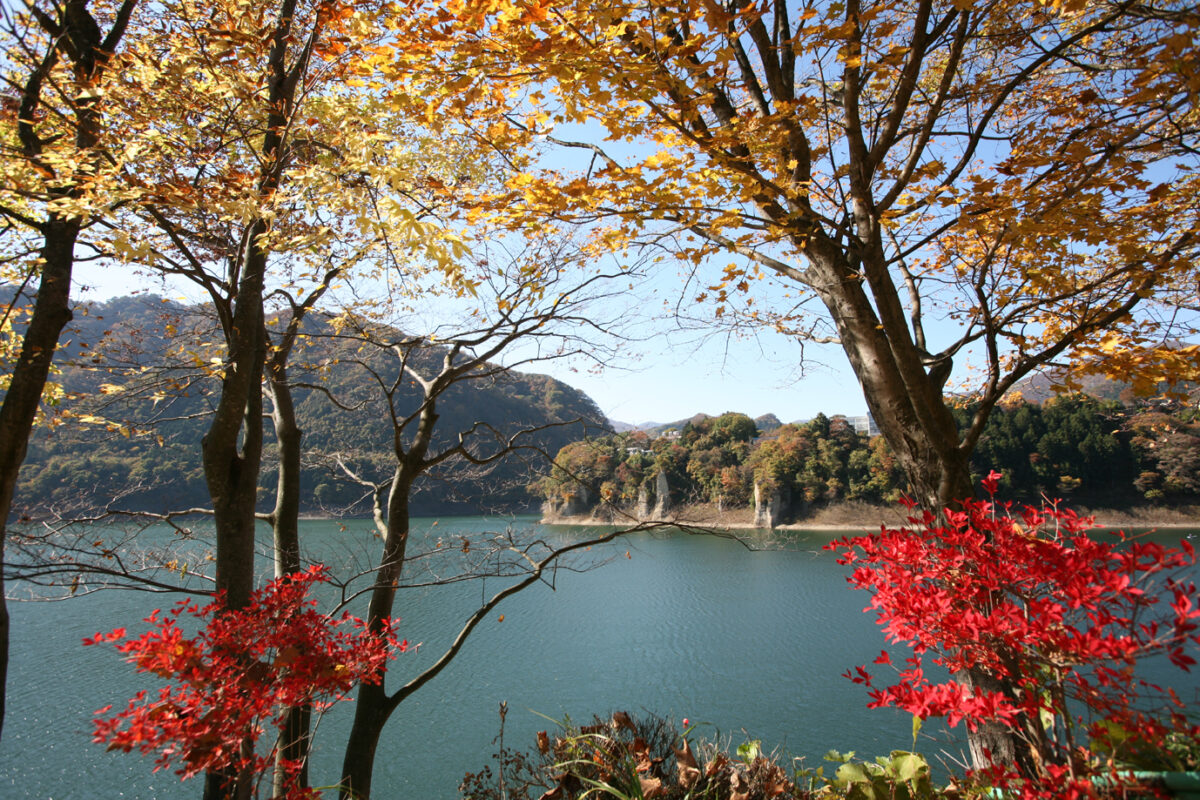 猿ヶ京温泉エリア（赤谷湖など）