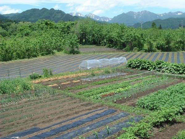 農園民宿かかし - 群馬県みなかみ町の野菜・果物狩り施設写真