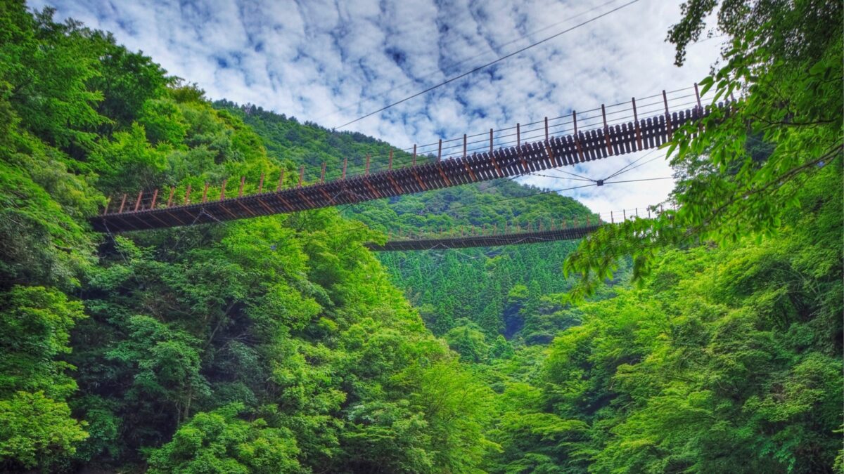 溫泉旅館選法 地方旅行