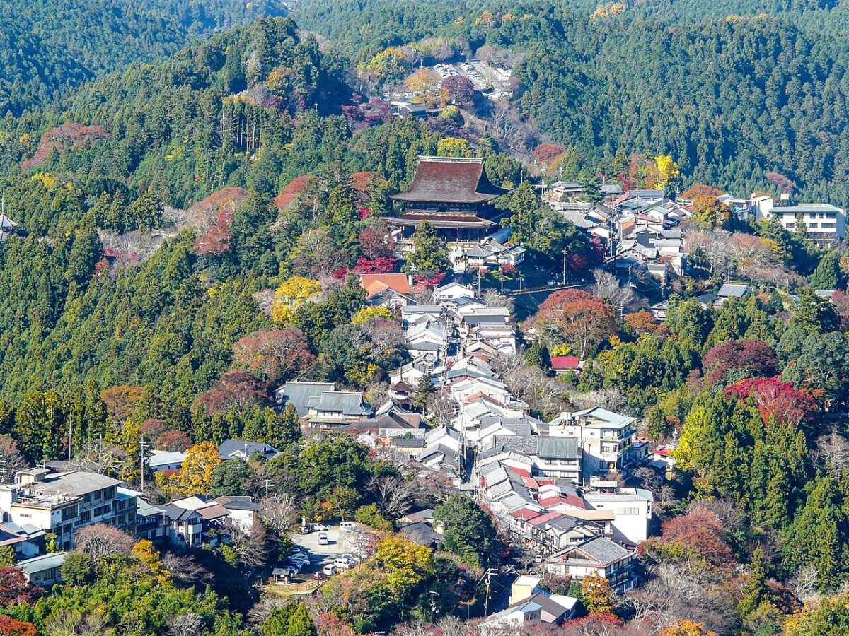 花矢倉展望台から見た秋の蔵王堂