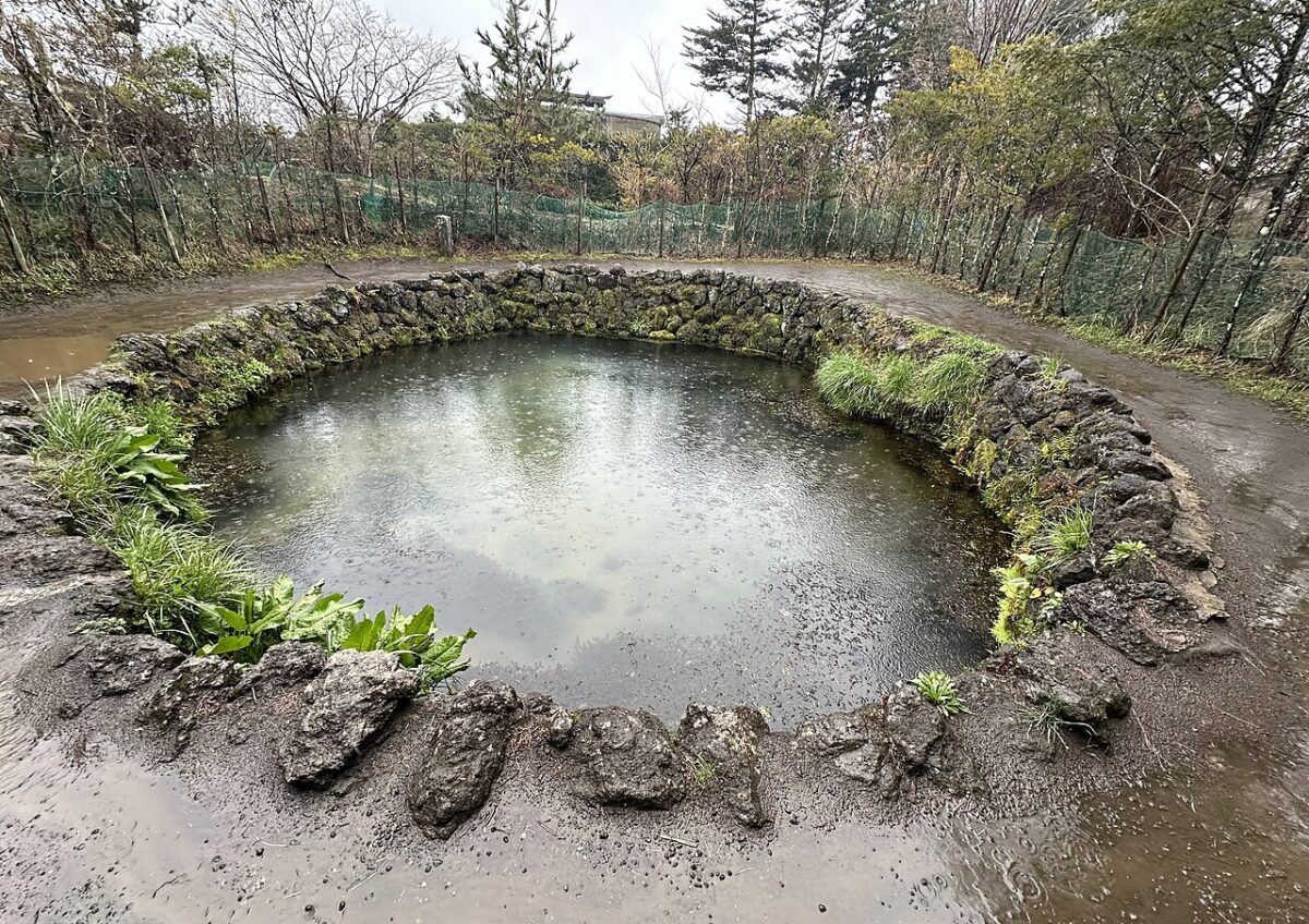 忍野八海的富士山伏流水、池塘與茅葺建築景觀