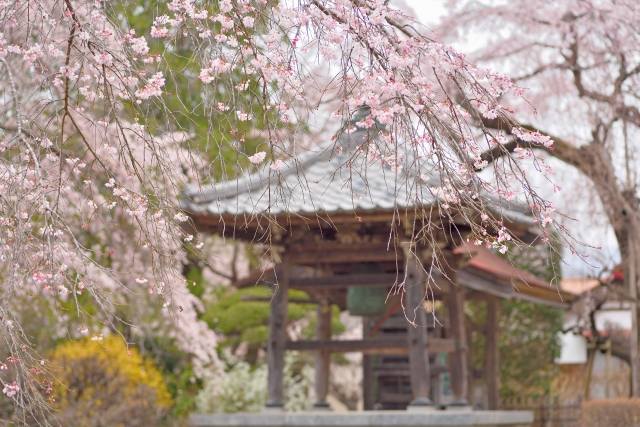 法善寺