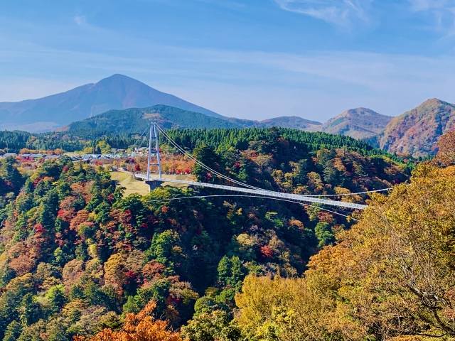 九重夢大吊橋