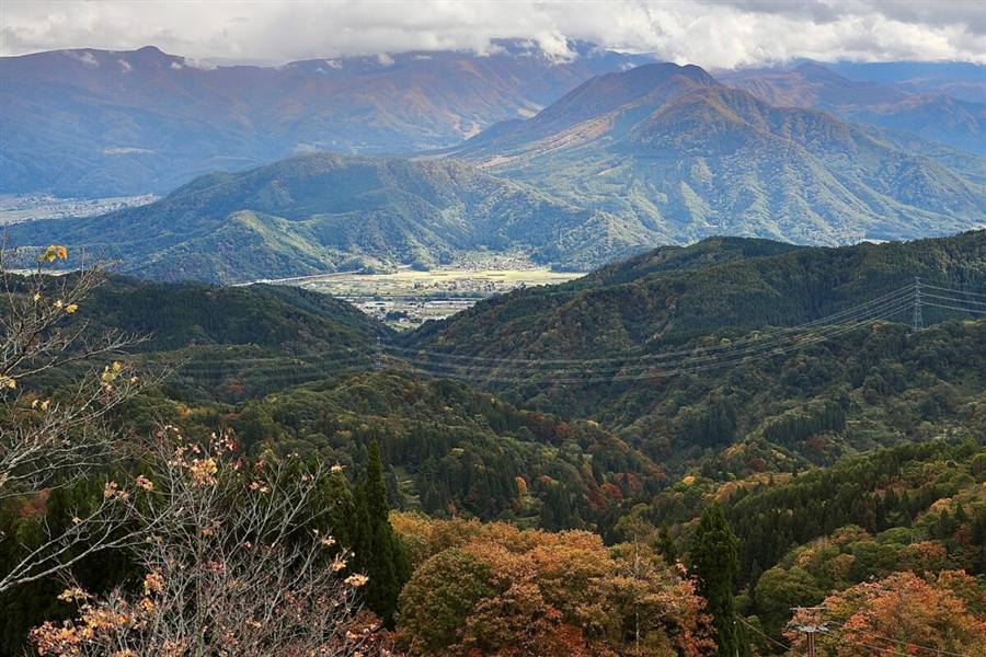 斑尾高原