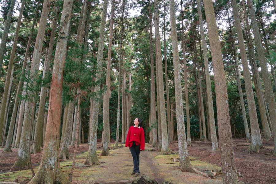 波治加麻神社