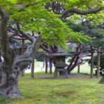 濱離宮恩賜庭園完整指南|潮入之池・茶屋・築地半日路線