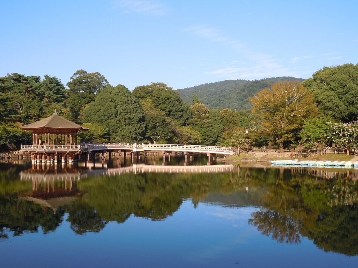 奈良公園