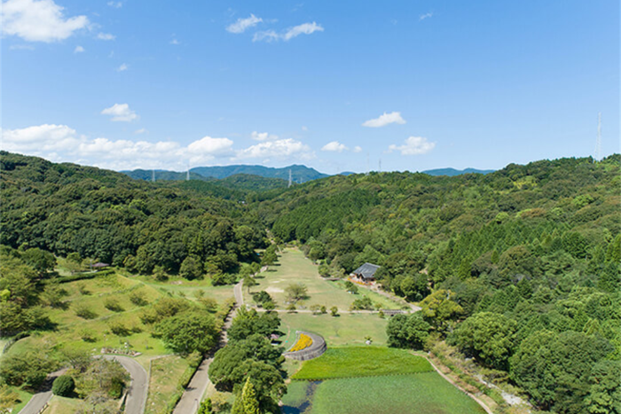 西の久保公園 観光ガイド｜花しょうぶと季節の自然を歩く天草の公園