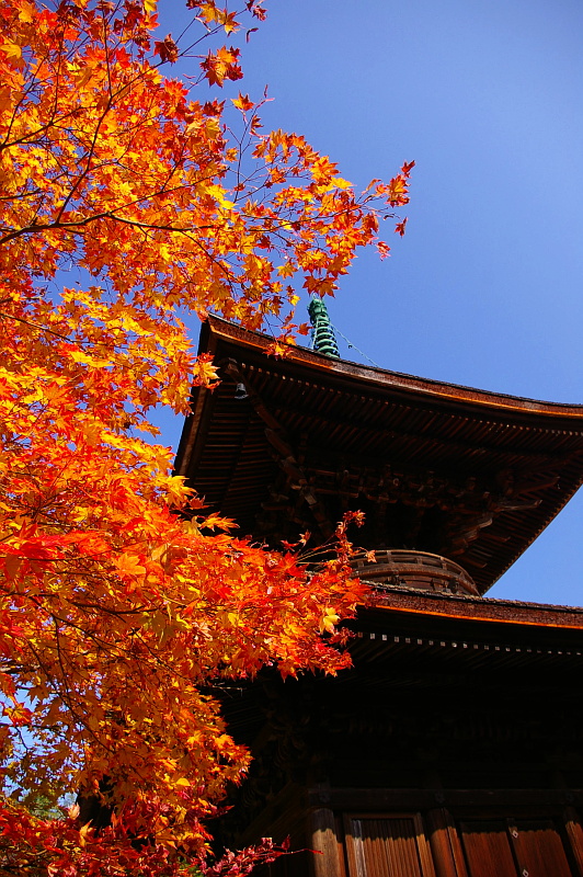 常寂光寺多寶塔