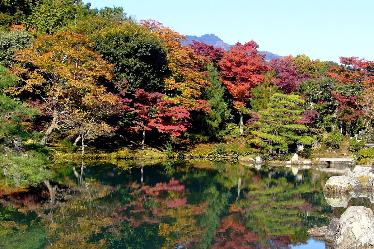 天龍寺曹源池庭園