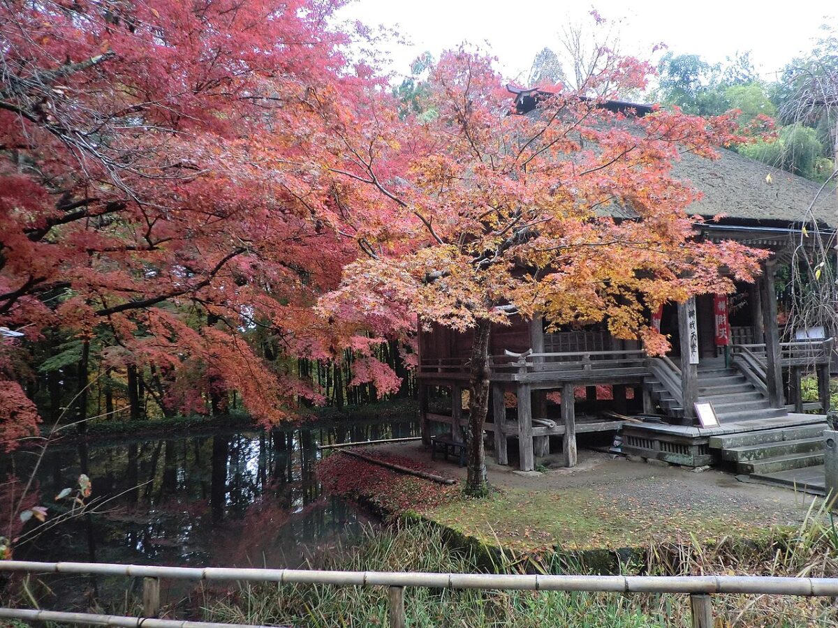 秋季紅葉