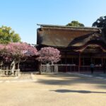太宰府天滿宮完整指南｜臨時本殿・太鼓橋・九州國立博物館半日路線