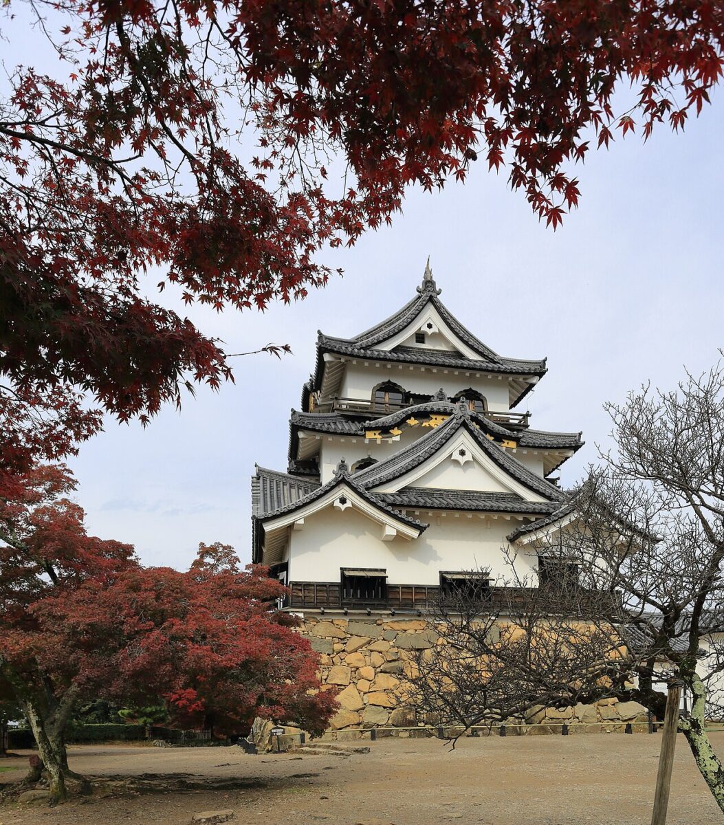 紅葉と彦根城