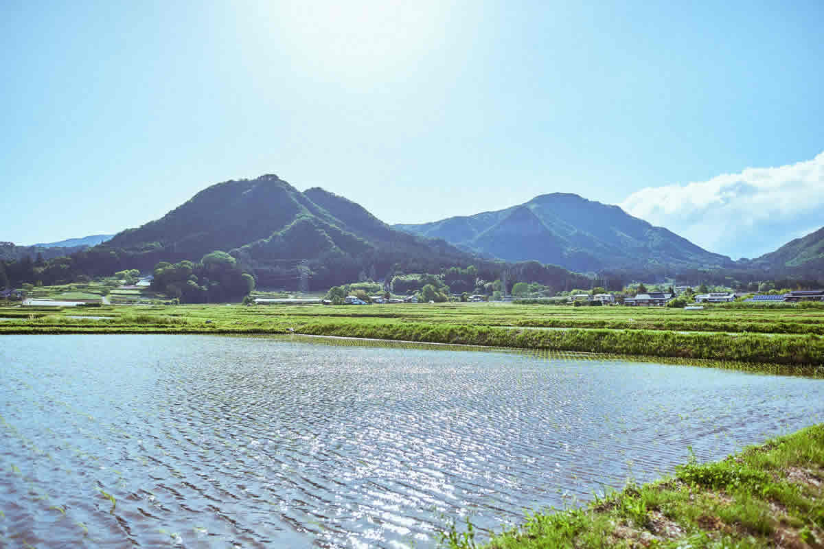 農園民宿かかし|群馬県みなかみ町の自然食・鉱泉風呂の民宿 photo