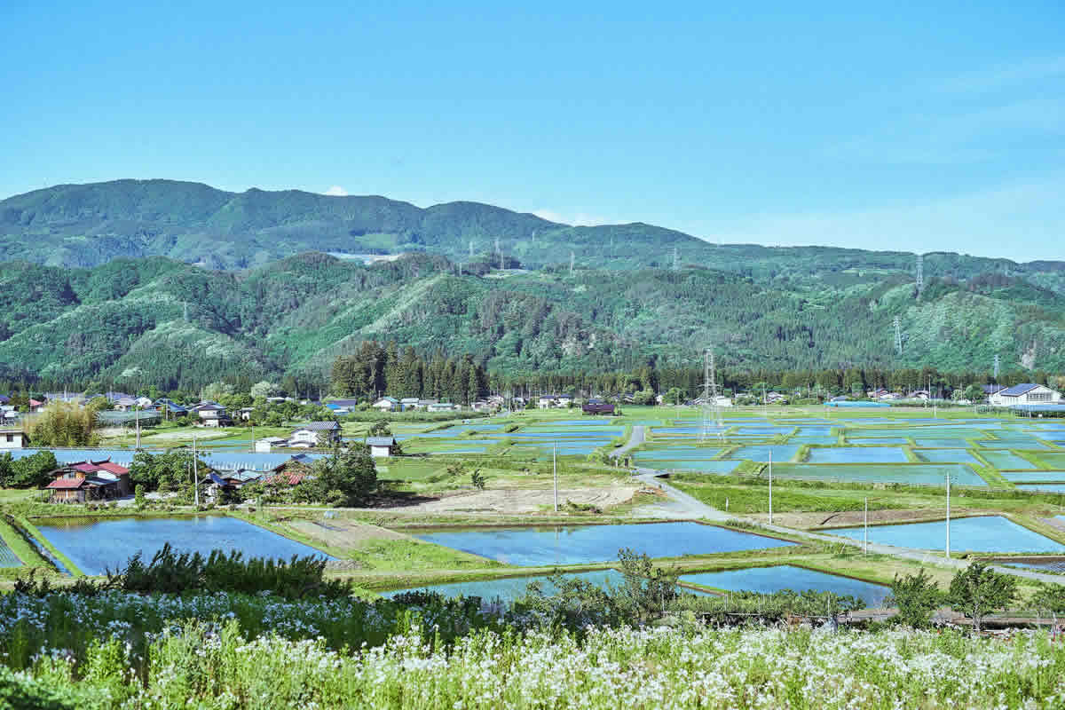 農園民宿かかし|群馬県みなかみ町の自然食・鉱泉風呂の民宿 photo