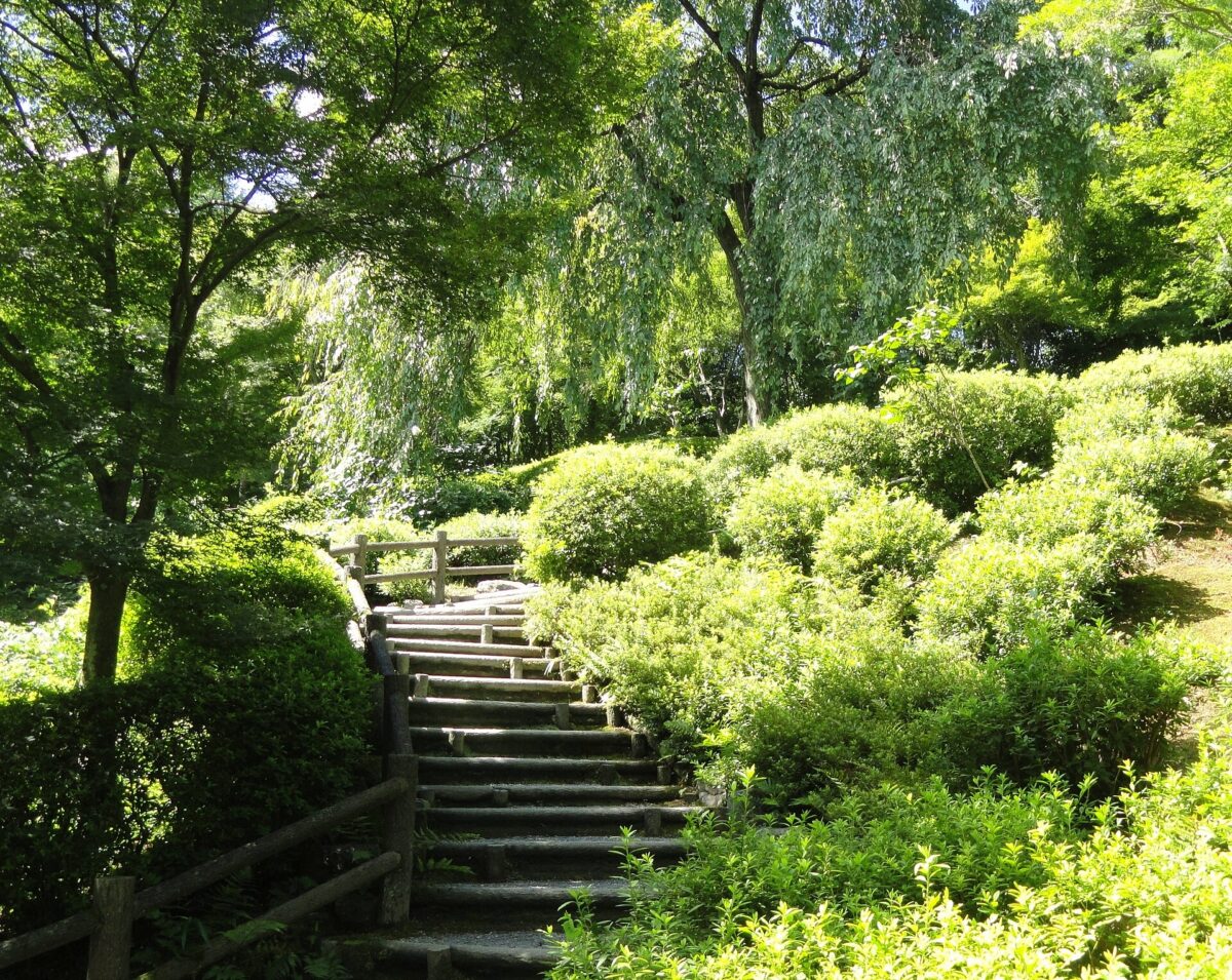 天龍寺曹源池庭園與嵐山借景