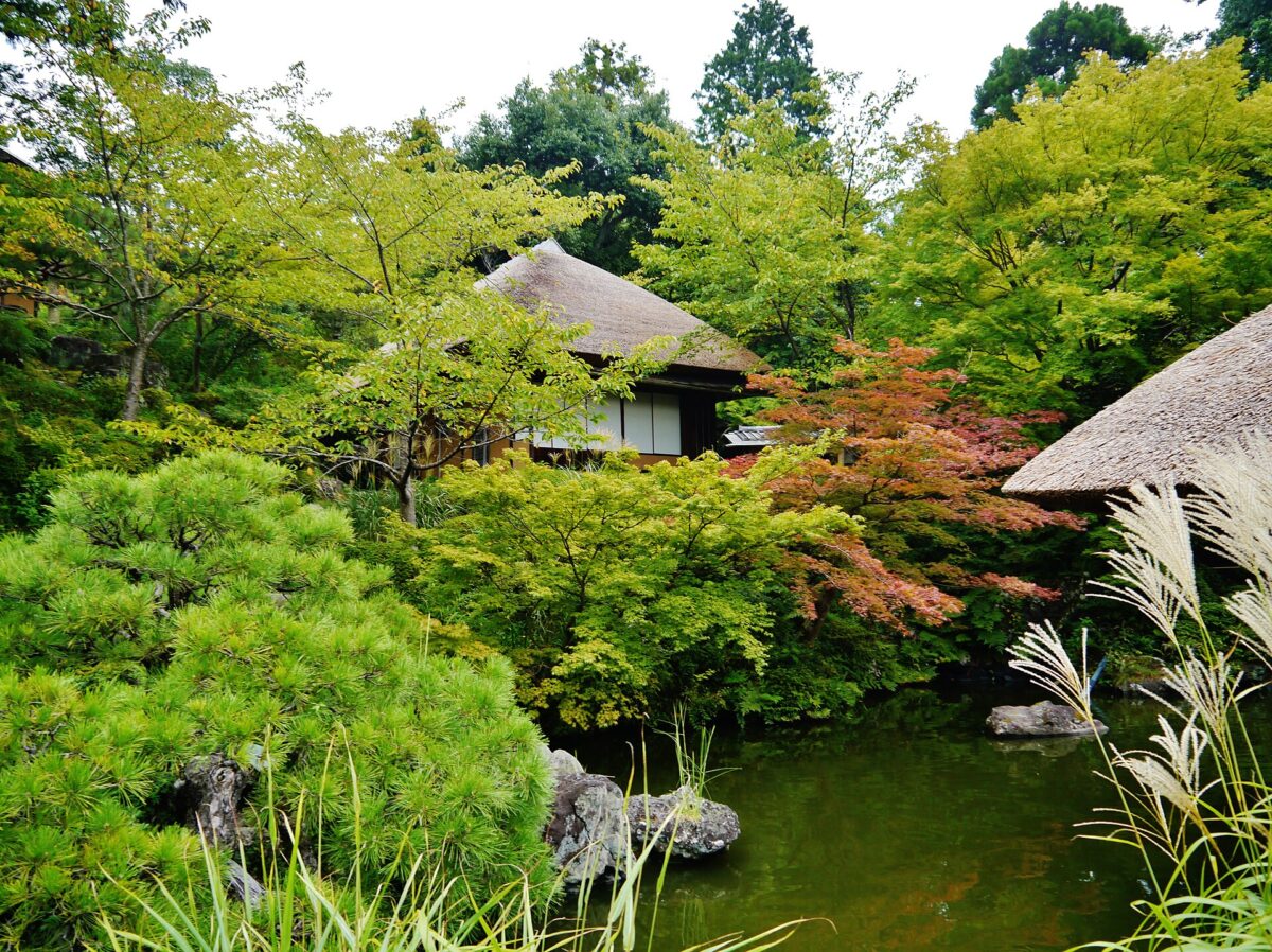 京都祇園新橋通的町屋街景